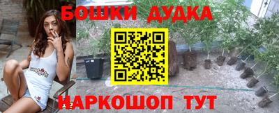 стаф Ставрополь