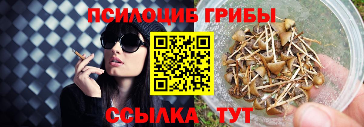 Псилоцибиновые грибы прущие грибы Новокузнецк