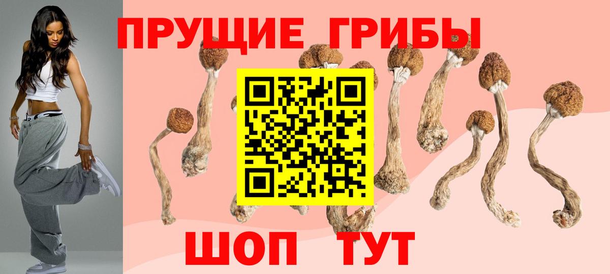 Галлюциногенные грибы ЛСД  Псилоцибиновые грибы Magic Shrooms  Вход с VPN  Новокузнецк 